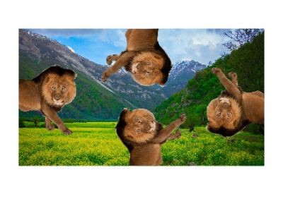 4 con su tu
